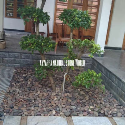 Outdoor Designs by Gardening & Landscaping AYYAPPA NATURAL STONE WORLD, Ernakulam | Kolo