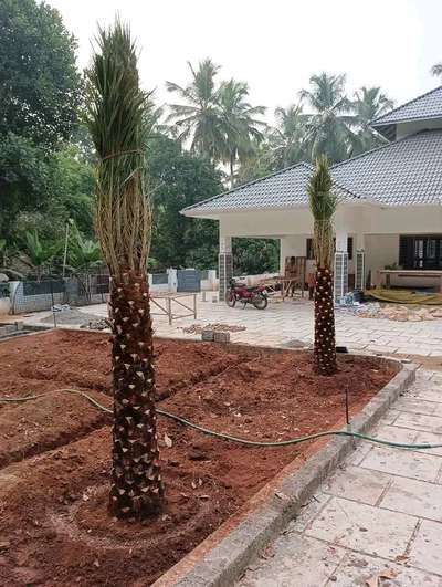 Outdoor Designs by Gardening & Landscaping ECOSCAPE LANDSCAPING, Palakkad | Kolo