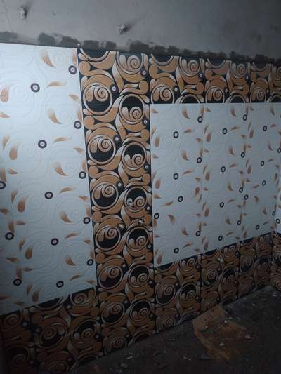 Wall Designs by Contractor Maroof S, Jodhpur | Kolo