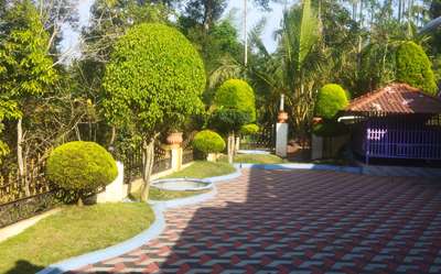  Designs by Gardening & Landscaping Jiju Nv, Palakkad | Kolo