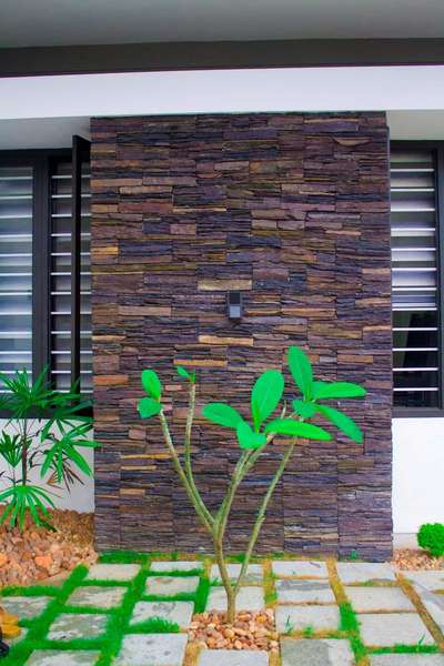 Wall Designs by Architect THOUGHTline designers, Alappuzha | Kolo
