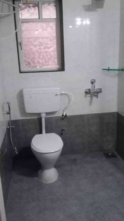 Kolo Image
