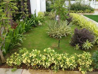 Outdoor Designs by Gardening & Landscaping Reji RR, Thiruvananthapuram | Kolo