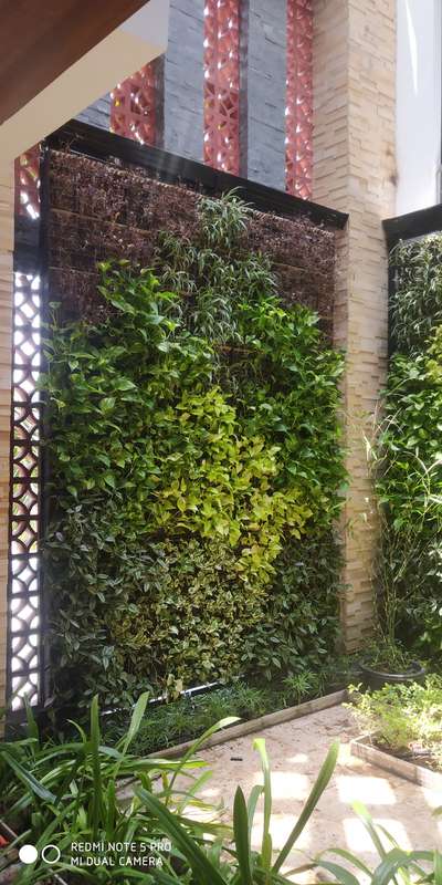 Wall, Outdoor Designs by Contractor sunil sp, Kozhikode | Kolo