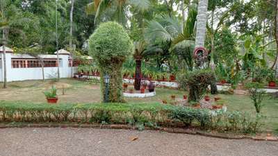 Outdoor Designs by Gardening & Landscaping Vishnu Gopal, Alappuzha | Kolo