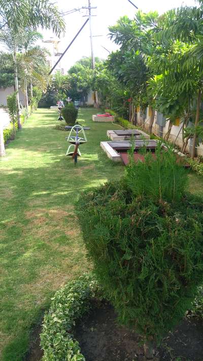 Outdoor Designs by Gardening & Landscaping Rajkumar Bhusare Rajkumar, Bhopal | Kolo