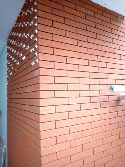 Wall Designs by Contractor Uzer Khan, Bhopal | Kolo