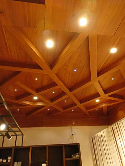 Ceiling, Lighting, Storage Designs by Interior Designer haris v p haris payyanur, Kannur | Kolo