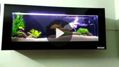 Home Decor Designs by Service Provider Gayathri  Aquarium, Thrissur | Kolo
