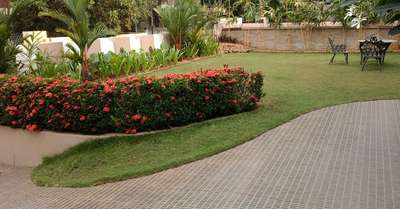 Outdoor Designs by Gardening & Landscaping Raveendran Raveendranc, Thiruvananthapuram | Kolo