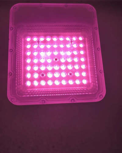 Lighting Designs by Electric Works Aaditya Sharma, Gautam Buddh Nagar | Kolo