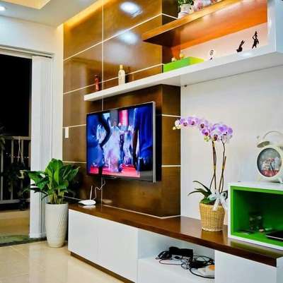 Lighting, Living, Home Decor, Storage Designs by Home Automation Reliable company field web , Gurugram | Kolo