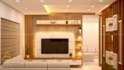 Living, Lighting, Storage Designs by Interior Designer SREESNEHA INTERIORS, Kottayam | Kolo