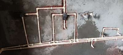 Kolo Image