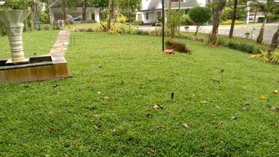  Designs by Gardening & Landscaping subindas  das, Palakkad | Kolo