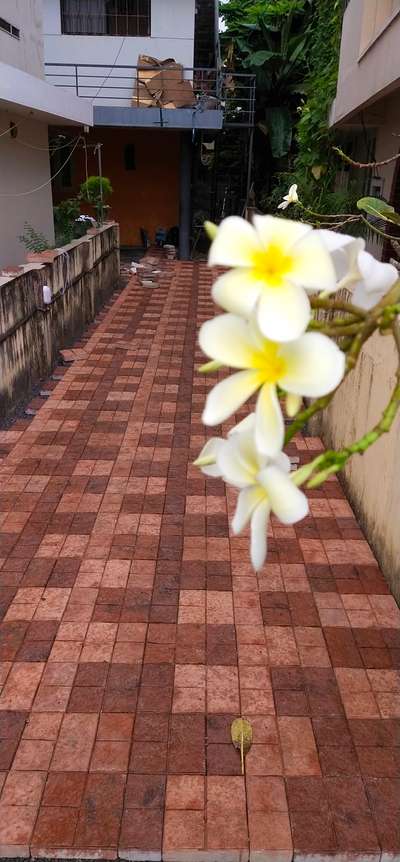 Outdoor Designs by Flooring Santhosh Shalu, Thiruvananthapuram | Kolo
