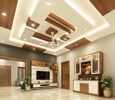 Ceiling, Living, Lighting, Storage Designs by Interior Designer BHARATH PARAMESWARAN, Thrissur | Kolo