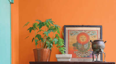 Home Decor Designs by Painting Works Madhav Nayak, Ajmer | Kolo