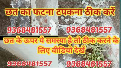 Kolo Image