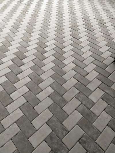 Flooring Designs by Service Provider Santhosh Shalu, Thiruvananthapuram | Kolo