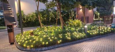 Lighting, Outdoor Designs by Electric Works L K electrician , Indore | Kolo