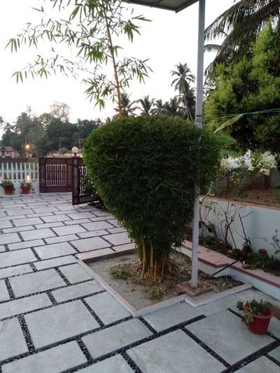 Outdoor Designs by Gardening & Landscaping Madhumadhu Madhumadhu, Kozhikode | Kolo
