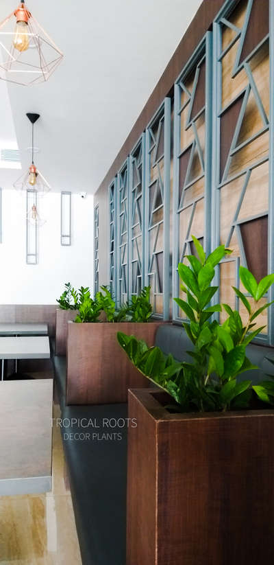 Wall, Storage Designs by Gardening & Landscaping Tropical Roots LandscapingAjeesh, Ernakulam | Kolo