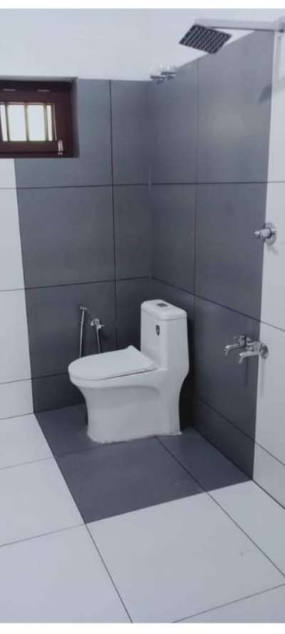 Kolo Image