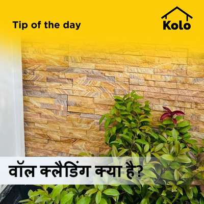 Kolo Image