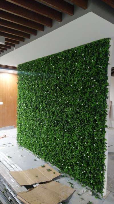 Wall Designs by Gardening & Landscaping Bharat Joshi, Delhi | Kolo