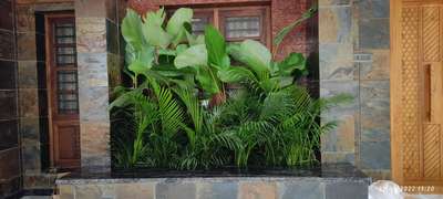 Home Decor, Wall Designs by Gardening & Landscaping joys garden, Thrissur | Kolo