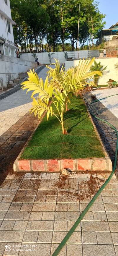 Outdoor Designs by Gardening & Landscaping Abhiram K M, Thrissur | Kolo