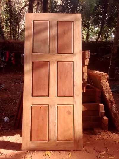 Door Designs by Carpenter umesh pa, Kasaragod | Kolo