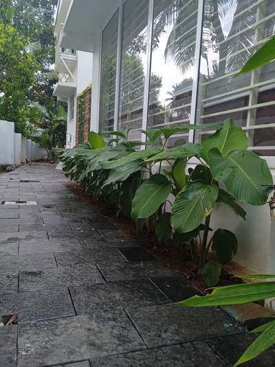 Outdoor Designs by Gardening & Landscaping AKSHAYA GARDENERS, Thrissur | Kolo