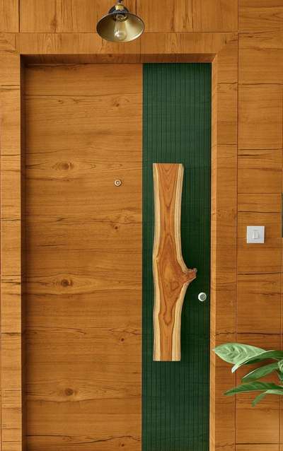 Door Designs by Interior Designer shajahan shan, Thrissur | Kolo