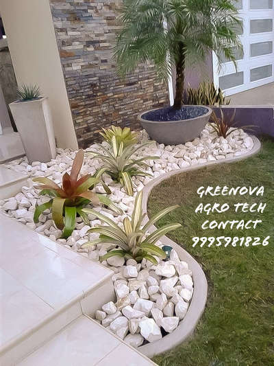 Outdoor Designs by Gardening & Landscaping Greenova agro and Gardening, Thiruvananthapuram | Kolo