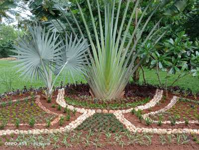 Outdoor Designs by Gardening & Landscaping Jovin Jovino, Thiruvananthapuram | Kolo