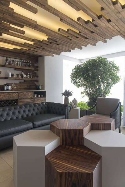 Ceiling, Furniture, Living, Table, Storage Designs by Contractor Shiv  interior , Delhi | Kolo