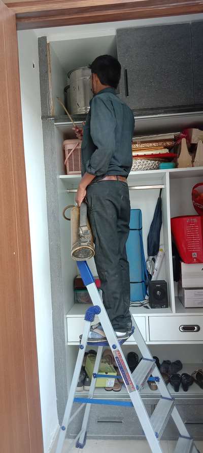 Kolo Image