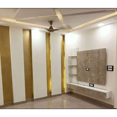 Ceiling, Lighting, Living, Storage Designs by Contractor asif ali, Delhi | Kolo