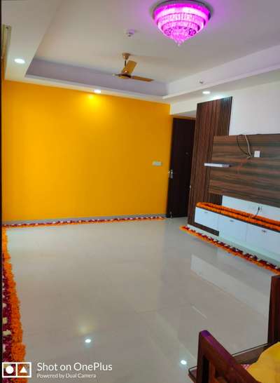 Living, Lighting, Wall, Flooring Designs by Contractor rihan saifi, Gautam Buddh Nagar | Kolo