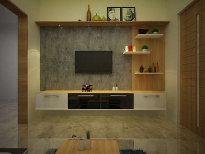 Door, Lighting, Living, Storage Designs by Interior Designer sajin sunny, Thrissur | Kolo