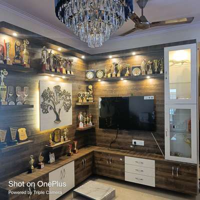 Lighting, Living, Home Decor, Storage Designs by Carpenter Furkan ali Furkan ali, Ghaziabad | Kolo
