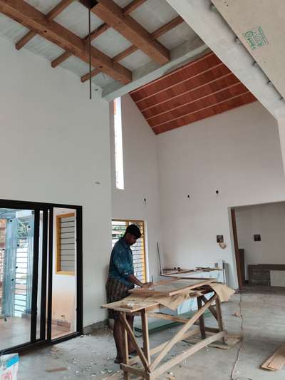 Ceiling, Door Designs by Architect Jefin Jose, Kollam | Kolo