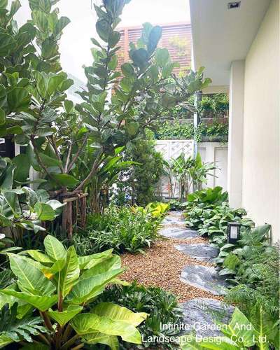 Outdoor Designs by Gardening & Landscaping Benny James, Kottayam | Kolo