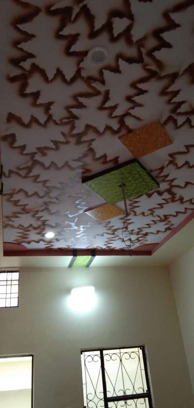 Ceiling Designs by Painting Works Painter  vikram, Jodhpur | Kolo