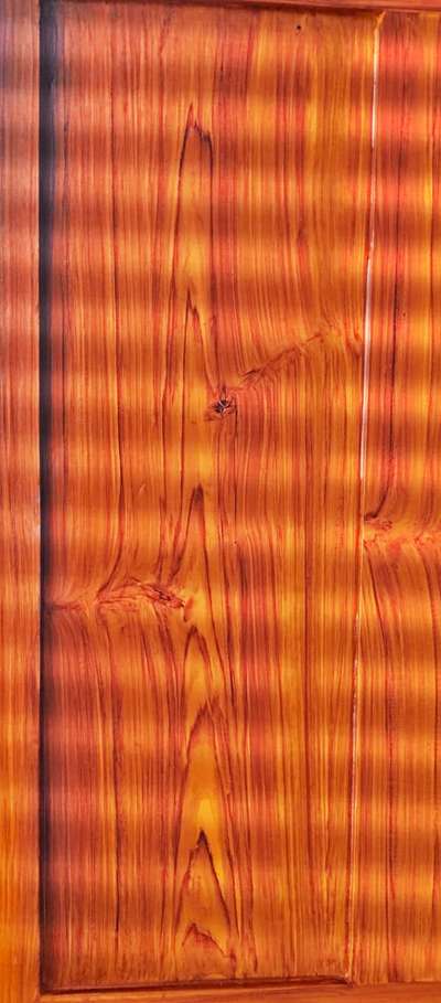 Door Designs by Painting Works wood world , Palakkad | Kolo
