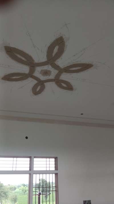 Ceiling Designs by Contractor Sarwar Khan, Sikar | Kolo