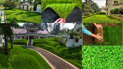 Outdoor Designs by Gardening & Landscaping Rohith AR, Thrissur | Kolo