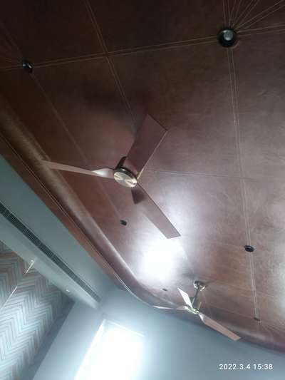 Ceiling Designs by Carpenter Abhijit Polley, Jaipur | Kolo